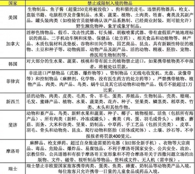 機場出入境須知 辦好簽證就萬事大吉？警惕“小黑屋”與遣返風險